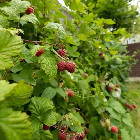 Δωμάτια σε οικογενειακή κατοικία 3 Cosy Bedrooms In A House 6 People Tyrrelstown