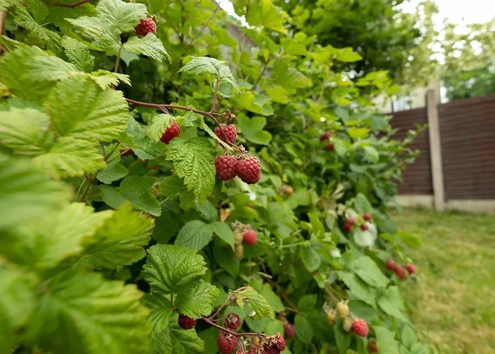 Privatunterkunft 3 Cosy Bedrooms In A House 6 People Tyrrelstown